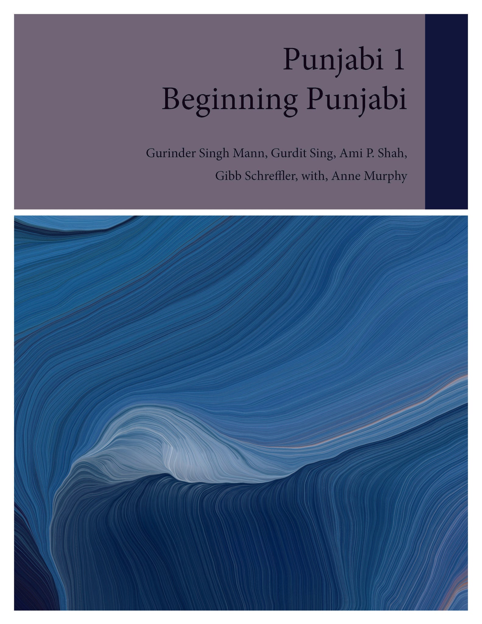 Beginning Punjabi (An Introduction to Punjabi)