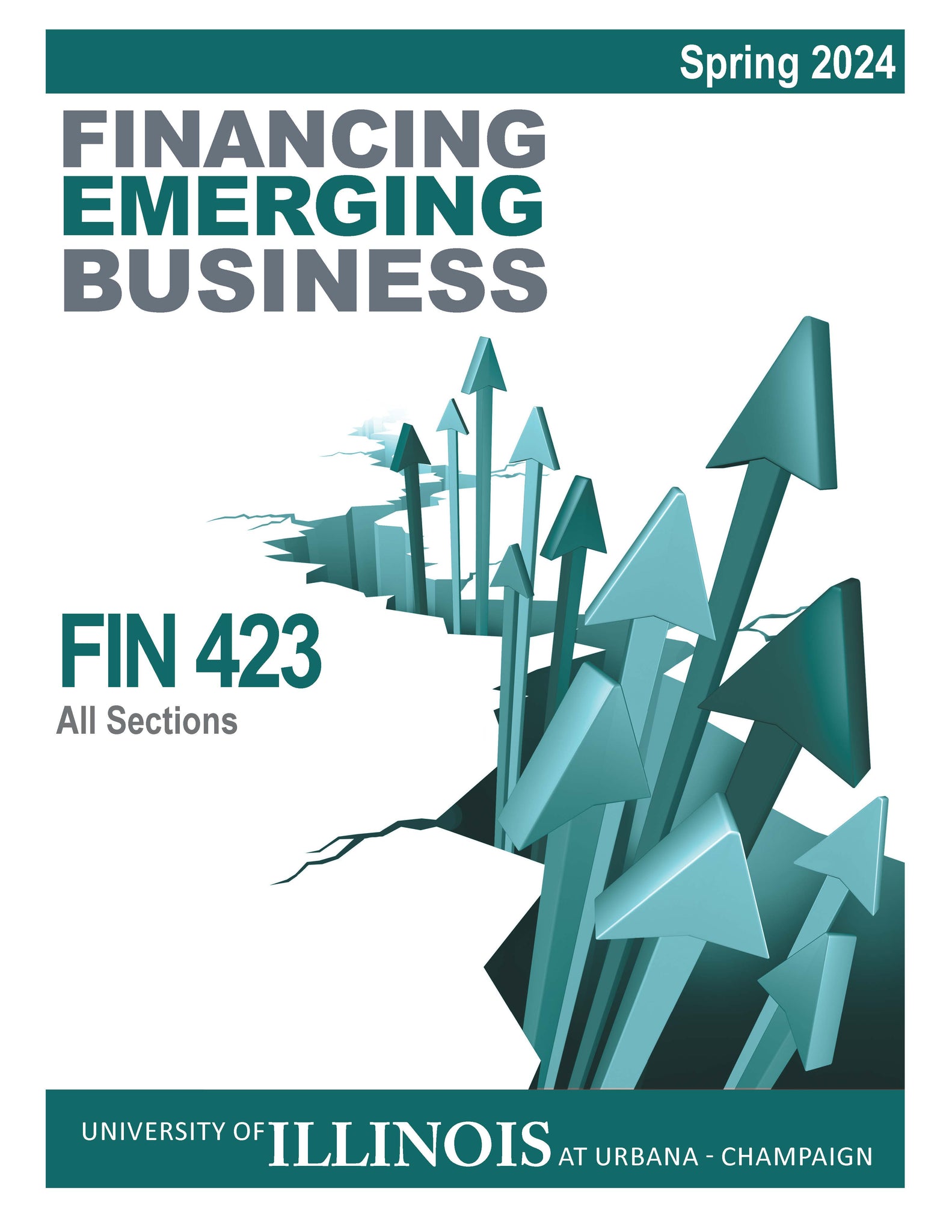 Financing Emerging Business